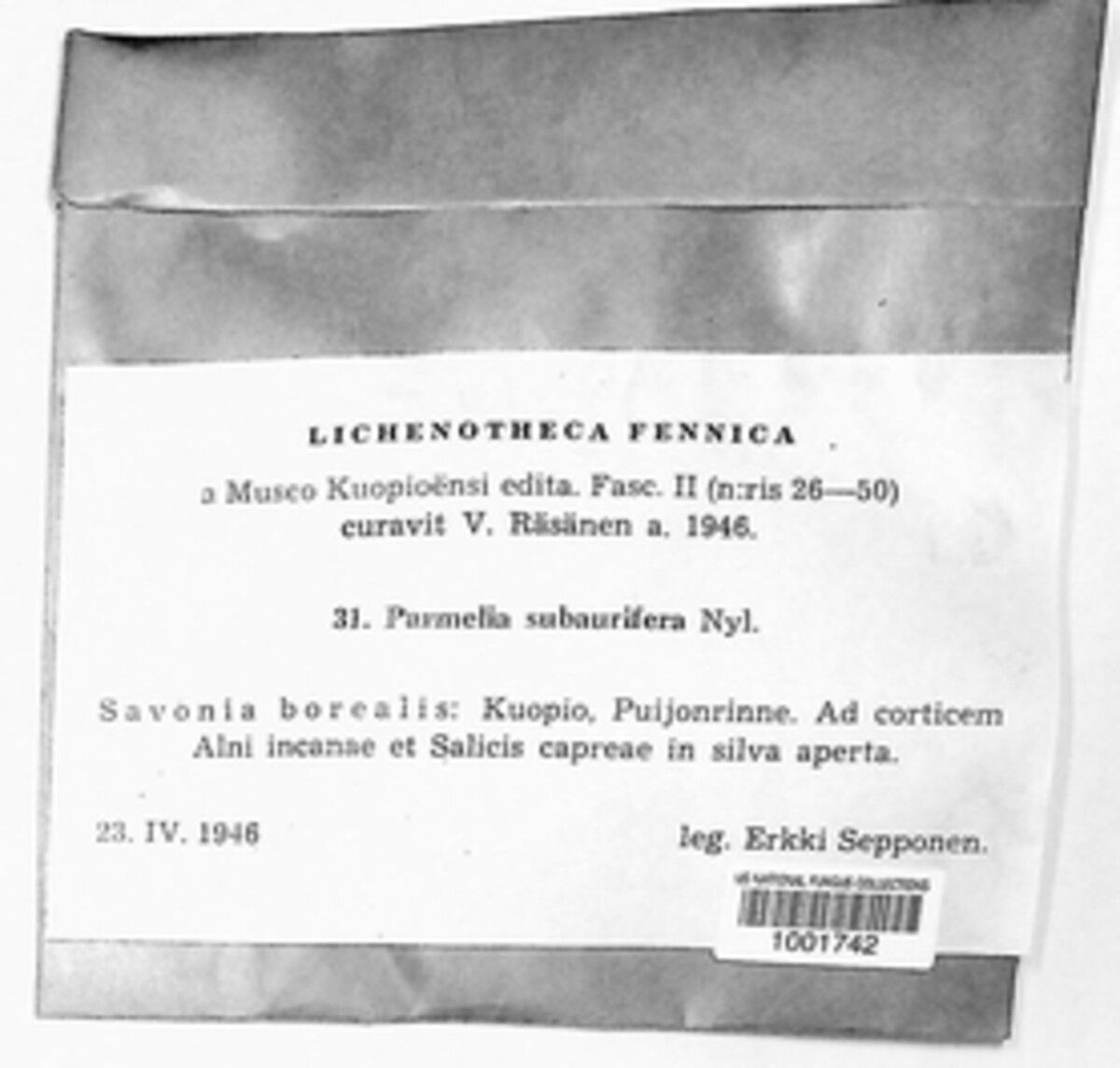 Melanelixia image